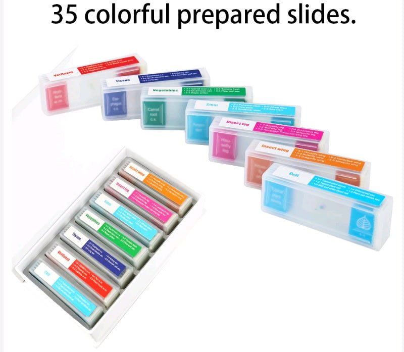 35 GLASS Prepared Microscope Slides - Magnifiers NZ
