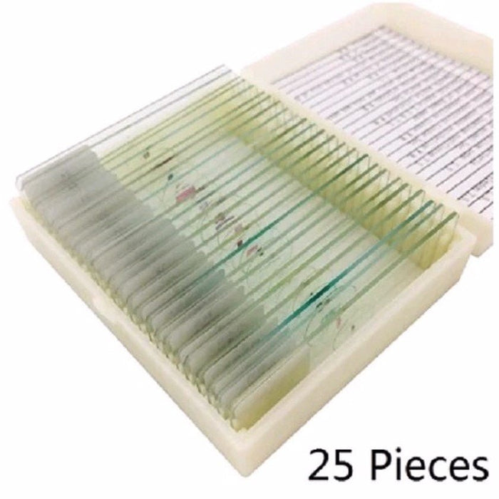 25 pc Prepared Microscope Slide Kit - Magnifying.com.au