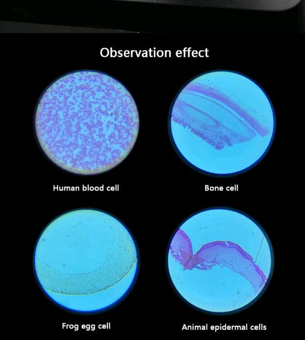 25 pc Prepared Microscope Slide Kit - Magnifying.com.au