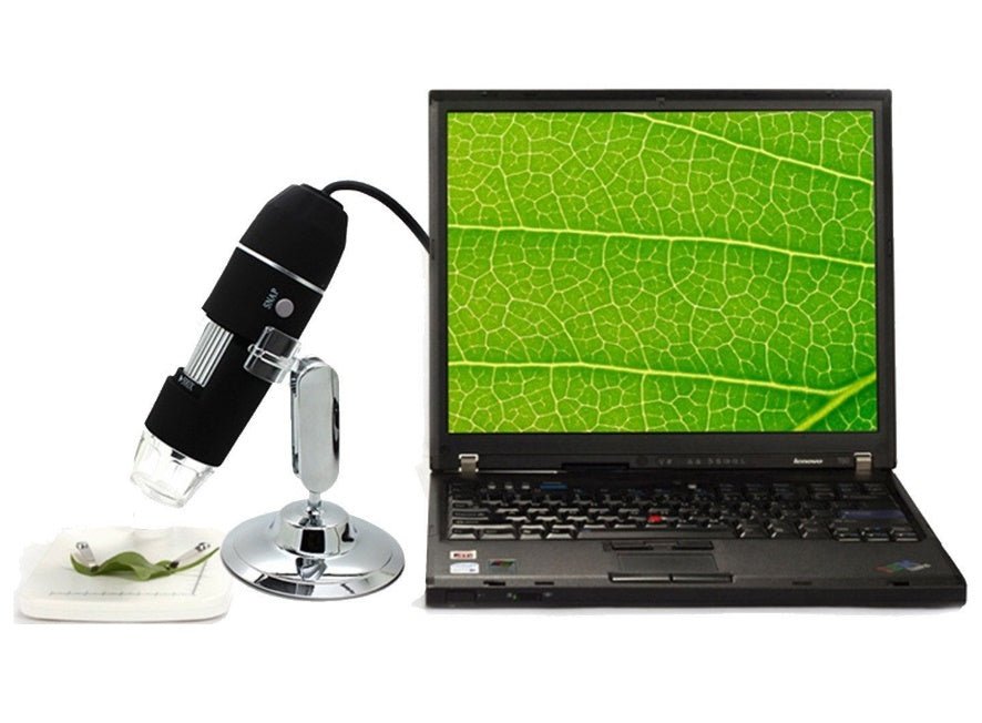 Digital Microscope - Magnifying.com.au