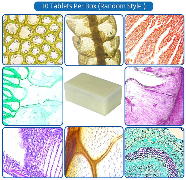10 pc Prepared Microscope Slide Kit - Magnifying.com.au 