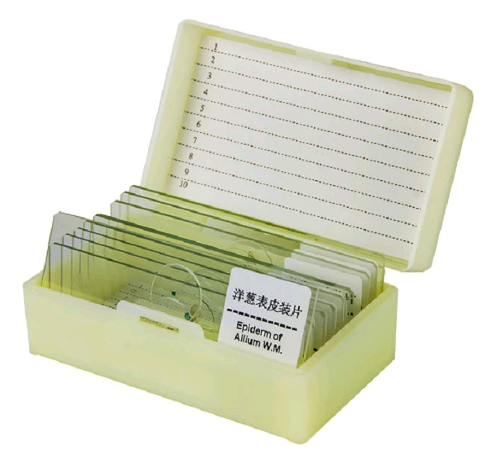 10 pc Prepared Microscope Slide Kit - Magnifying.com.au 